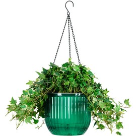 Melphoe 1 paquete de macetas colgantes de riego automático para colgar en interiores, cesta de maceta colgante para plantas de 8.3 pulgadas, colgador de plantas con 3 ganchos, agujeros de drenaje para