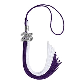 Endea Graduation Double Color Tassel with Silver Bling Charm (Purple/White, 2025)