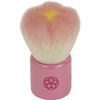 FWS – Pi 熊野 Brush Hex Theater Hall of Sakura Flower Face