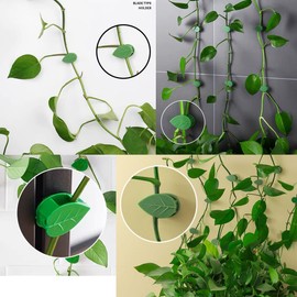 QRWT 60 Pieces Plant Climbing Wall Fixture Clips Self-Adhesive Plant Fixer Invisible Leaf Shaped Wall Vines Fixing Clips Hook Plant Vine Traction for Home Decoration Cable Wire Fixing