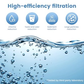 2387 Pro NSF Certified Replacement Water Filter Compatible with Alexapure Water Filtration System,Reduces chlorine, etc，Last Up to 5000 Gallons,Black(2 Pack)