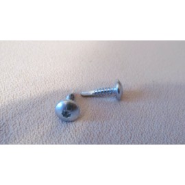 ABS 1000 Zinc Screws 10x 1" Enclosed Skin Sheet Metal Panel Trim Self Tap Truss Head