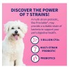 Nutramax Proviable Health Supplement For Cats And Dogs