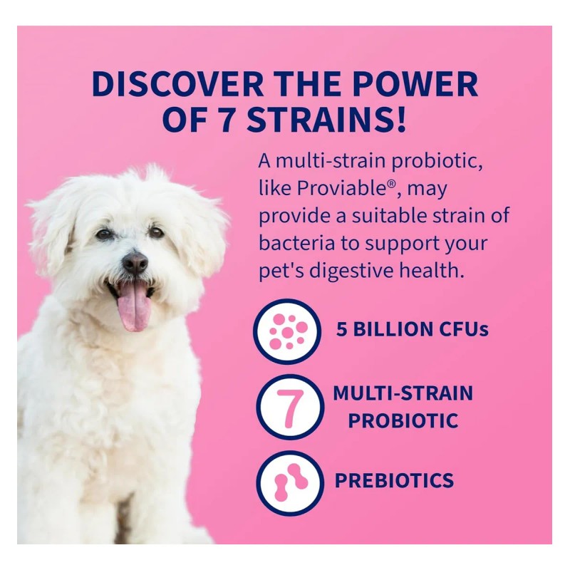Nutramax Proviable Health Supplement For Cats And Dogs