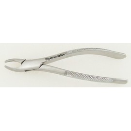 Dental Forceps #62, Upper and Lower Incisors