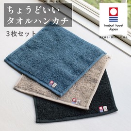 Tabarat Towel Handkerchief, Imabari Handkerchief, Hand Towel, Hand Towel, 9.1 x 9.1 inches (23 x 23 mm), Set of 3, Men's (Taupe)