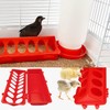 OUYOLAD 4 Plastic Flip Top Bird Small Poultry Feeder for