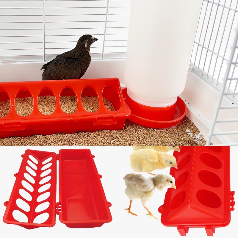 OUYOLAD 4 Plastic Flip Top Bird Small Poultry Feeder for