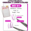NO1 False Eyelash Parts, Large Capacity, Natural, Everyday Makeup, Stage