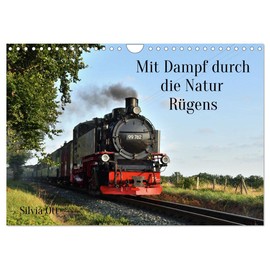 Mit Dampf durch die Natur Rügens (Wandkalender 2026 DIN A4 quer), CALVENDO Monatskalender