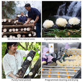Baihuatang White Snow Fungus Mushroom Premium Dried Snow Fungus (White Fungus) - Natural Silver Ear Mushroom Tremella, - Sulfur-Free, Vegan, Resealable Bag - Perfect for Desserts, snow fungus soup (4.23oz / 120g) 特级银耳 雪耳