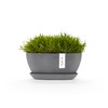 Sofia Flower Pot Collection - Designer Planter for Small Spaces