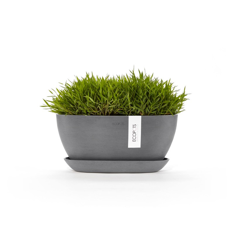 Sofia Flower Pot Collection - Designer Planter for Small Spaces