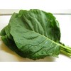 100 Giant Collard Georgia Southern Seeds Herb Collards Heirloom Non-GMO