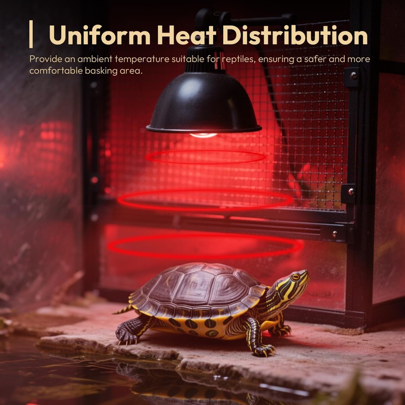 ALAMPEVER 2 Pack Red Heat Lamp Bulb, 75 Watt Infrared