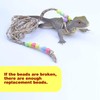 Adjustable Reptile Training Lead Harness Leash Nylon Rope for lizard