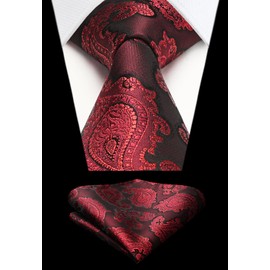 HISDERN Mens Ties Paisley Tie for Men Floral Tie and Pocket Square Set Ties Red