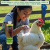 Care Free Enzymes Chicken Shampoo & Poultry Wash, 16 oz,