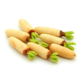 MyTinyWorld 6 x Long White Dolls House Miniature Raddishs