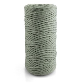 Netuno 1 x Macrame Yarn Sage Green 3 mm 100 m Simply Twisted Cotton Cord Cord Natural Cord Colourful Cotton Craft Cord for Macrame Yarn Cord Macrame Coloured Twisted Macrame Cord Cotton