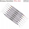 OROAX Juego de 7 curetas periodontales dentales Gracey con mango