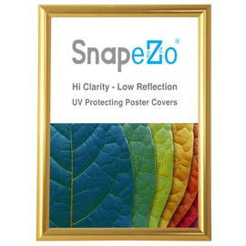 SnapeZo Gold Effect 36x48 Poster Frame, Front-Loading, Wall Mount, Aluminum 1.25" Profile, Professional Series