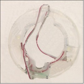 Ridgid/Ryobi Replacement Part 290139020 LED ASSEMBLY