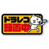 Isaac Trading Car Dash Cam Recording Sticker, Cat Illustration Sticker,