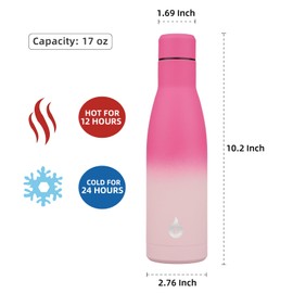 BJPKPK Insulated Water Bottle 17oz Stainless Steel Water Bottles Reusable Metal Thermos Water Bottle Keep Cold And Hot,Cherry