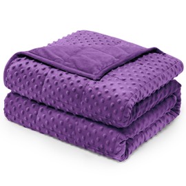 Wemore Minky Dot Weighted Blanket for Adults King Size 25 lbs, Soft Cozy Heavy Blanket for Bed and Couch, Breathable Blanket for All-Season with Glass Beads, Purple 80 x 87 inches