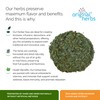WINTERGREEN, ORTHILIA SECUNDA L. | Original Herbs Herbal Tea –