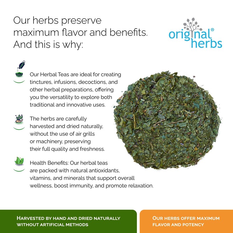 WINTERGREEN, ORTHILIA SECUNDA L. | Original Herbs Herbal Tea –