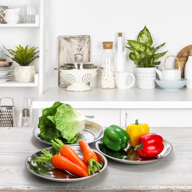 WUWEOT 10 Pack Stainless Steel Dinner Plates, 10" Round Kitchen