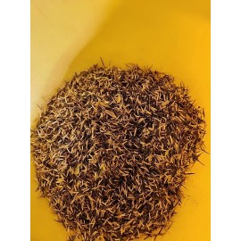 French Marigold Sparky Mix, Beautiful Colors, Garden Pest Deterrent FREE SHIP