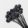 MLSG 20Pcs Natural Dried Flowers Black Billy Balls Flowers 16"