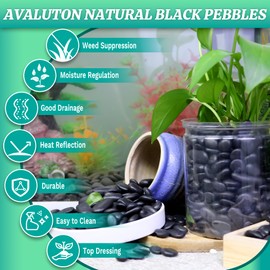 AVALUTION 18lbs Natural River Rocks - 1Inch Black Pebbles for Plants Garden Decorative Stones, Landscape Stone