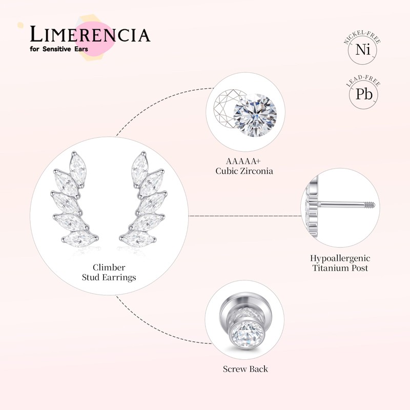 Limerencia Hypoallergenic Titanium Screw Back Earrings Implant Grade Cubic Zirconia