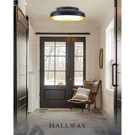Ken & Ricky Flush Mount Ceiling Light with Remote,Black and Gold,12In,1PK