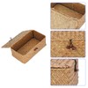 Leopacat Rectangular Seagrass Basket, Woven Storage Box, Wicker Baskets with