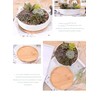 WEIYON-6.29 inchSucculent Planter Ceramic with Bamboo Tray, Modern White Ceramic