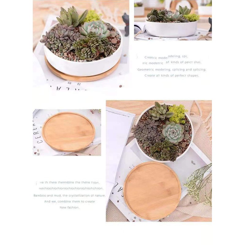 WEIYON-6.29 inchSucculent Planter Ceramic with Bamboo Tray, Modern White Ceramic