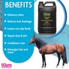 EQyss Avocado Mist Equine Coat Conditioning Spray - Horse Detangler,