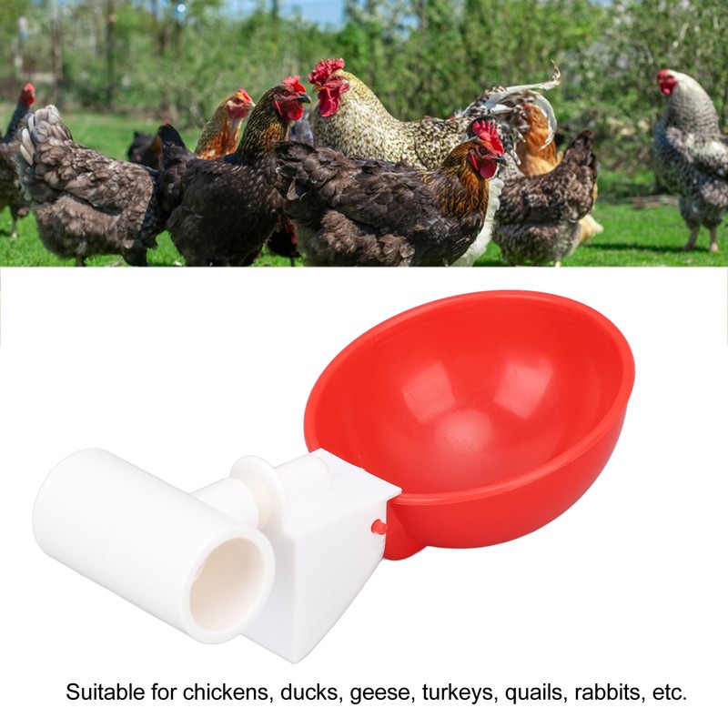 12 Sets Chicken Watering Cup with Tee Connector Automatic Feeding