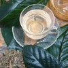 Loquat Leaf Tea (Roquat Leaf Tea, Biwa-cha), 2.4 oz (70