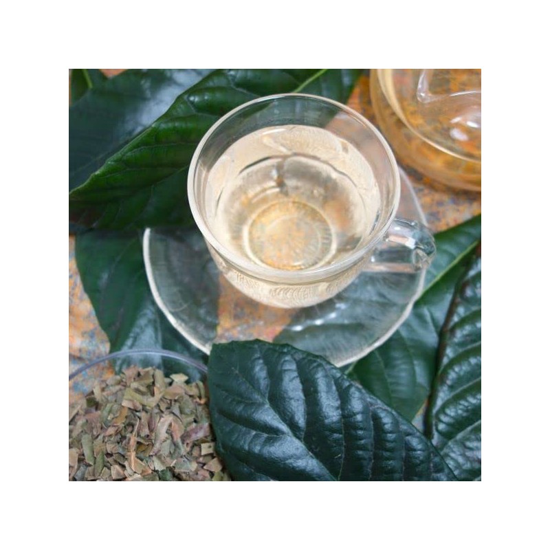 Loquat Leaf Tea (Roquat Leaf Tea, Biwa-cha), 2.4 oz (70