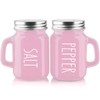 Pink Salt and Pepper Shakers Set - Pink Kitchen Accessories