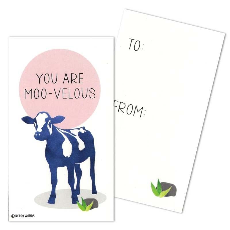 Nerdy Words Mini Pig Sheep Cow Chicken Farm Animal Valentines