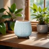 ZEN AR?ME Zen'ar?me Diffusor ?therisches ?l Lola, Ultraschalldiffusoraromatherapie, USB -elektrische
