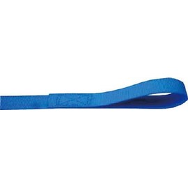 TESAC C01E010010A Lashing Belt (Cam Buckle) Eye Type