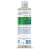 Faith In Nature Natural Mint Body Wash, Uplifting, Vegan &